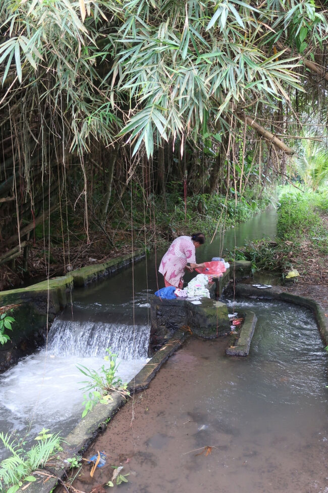 はっ、さっき「大の方」をされていたところで、お洗濯をされている<br /><br />川の浄化力は想像を越えていました