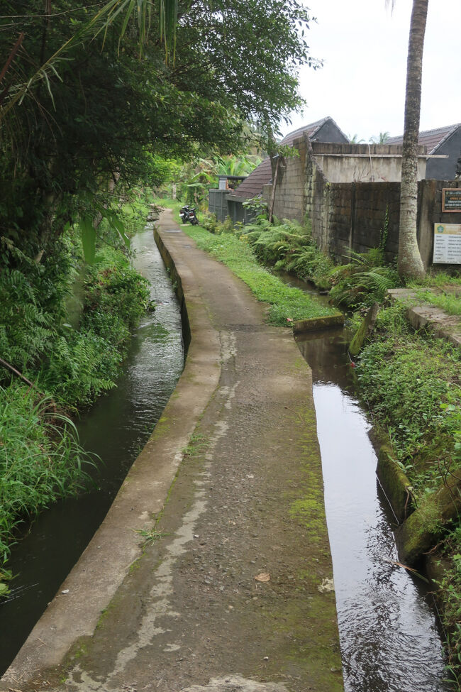帰りは脇道に入ってみたり、道中も楽しかった！