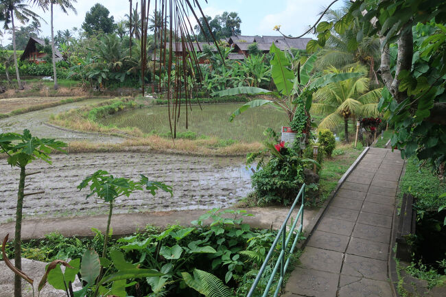 10:45<br />次にやってきたのは、近くの「Temple Yeh Pulu」<br />ここも、ひとり30k（≒270円）