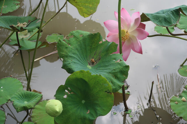 ここにもホテルがあるようでした<br />満天の星空が見えそう