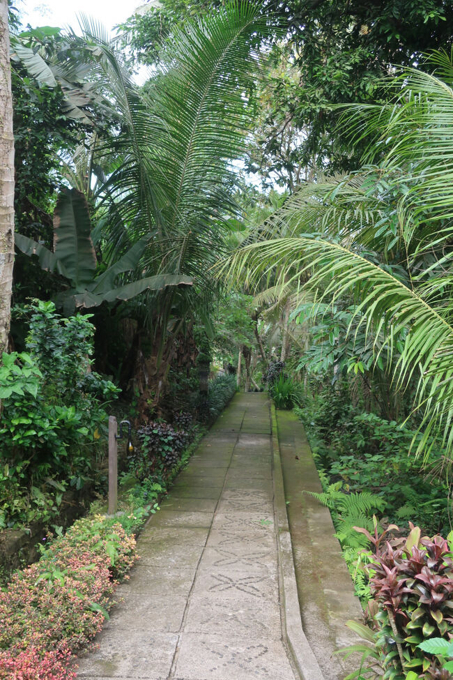 ここも我々だけだったけど、途中にお土産屋さんがあったから、バスが来たりもするのだろうか