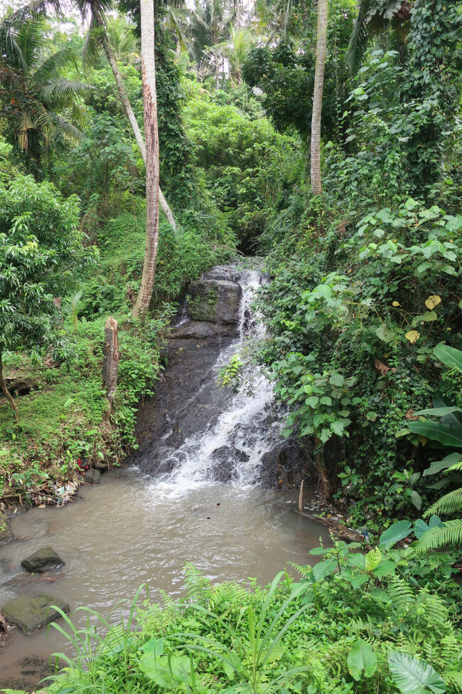 ちょっとした滝もあります<br /><br />当初はウブド近郊の滝巡りを計画したのですが、若向け過ぎるイメージ（滝に飛び込んだりされておる）で、遺跡に変更。<br />さっきの「大」目撃で、ますます川に入るのはハードルが高いと思いました