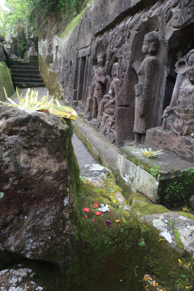 お花がかわいい<br /><br />チラと写ってますが、入口は割れ門です
