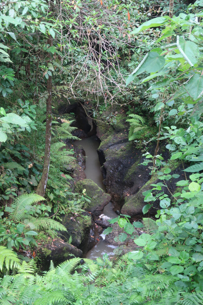 奥に続く道があるので行ってみましたが、行き止まりでした<br /><br />川にゴミが溜まっており、バリは川が清流だったらどんなにか美しかろう、と思うシーンによく出会います