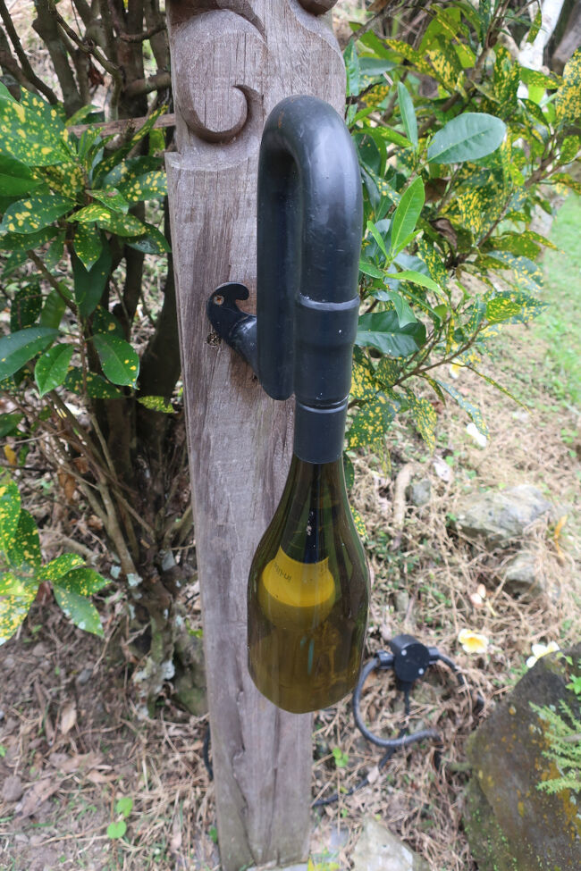 これ瓶再利用の電気<br />キャップのスクリューって同じ規格なんですね、こういうの好きだわー<br /><br />↓下のお店も、この電気