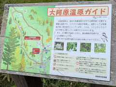 大阿原湿原
ちょっとだけハイキングする。