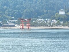 フェリーで鳥居に近づいてくれるので大鳥居を写真に納める事ができます