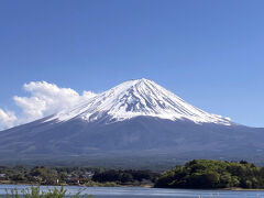 大石公園から見た富士山とネモフィラ（1）。