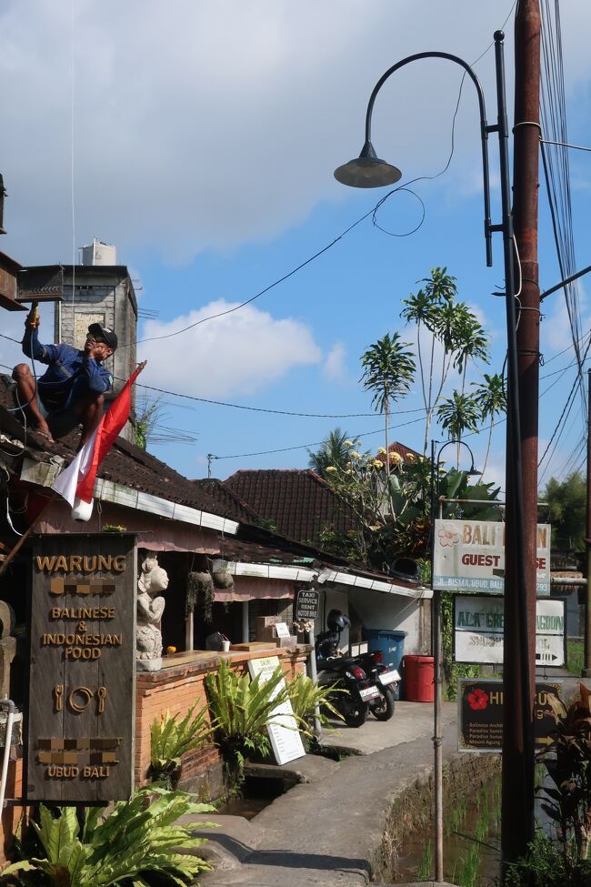 恐らくこの夕食が運命の分かれ道<br />母の頼んだガドガド（温野菜にピーナッツソース）、豆腐が悪くなっていたと思います。<br />この後祈るように過ごしましたが、やはり母だけ後半でバリ腹（バリでお腹をこわすこと）になってしまいました。<br />海外で調子が悪くなるのは本当に可哀想で、あの時他の店にすれば、とか、ガドガド勧めなければとか、先に毒見すればとか、後々まで悔やまれました。<br /><br />ガドガド主犯説は、あくまでも推測ですけどね。<br />スパイス過多で、腐ってなくてもお腹を壊すことはあるようですし。<br /><br /><br />バリ腹対策として、両親には旅行の1週間前から毎日ビオスリー（整腸剤）を飲んでもらい、歯磨きもペットボトルでと気を付けてもらいましたが、抗えず。<br /><br />ちなみに父も帰国日に一度だけお腹がゆるくなり、超心配性の父は「これはたいへんだ！」と翌日病院へ行き、血液検査までしたそうです。<br />受診時には治っていたので、心配ありませんと帰されたらしい (当たり前です)<br />本件で、初めての海外旅行保険を申請中。通るかな。