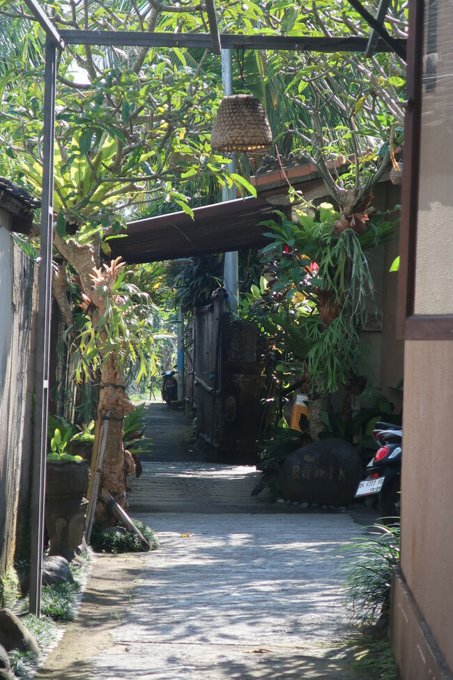 いい散歩道が続いて、嬉しくて嬉しくて