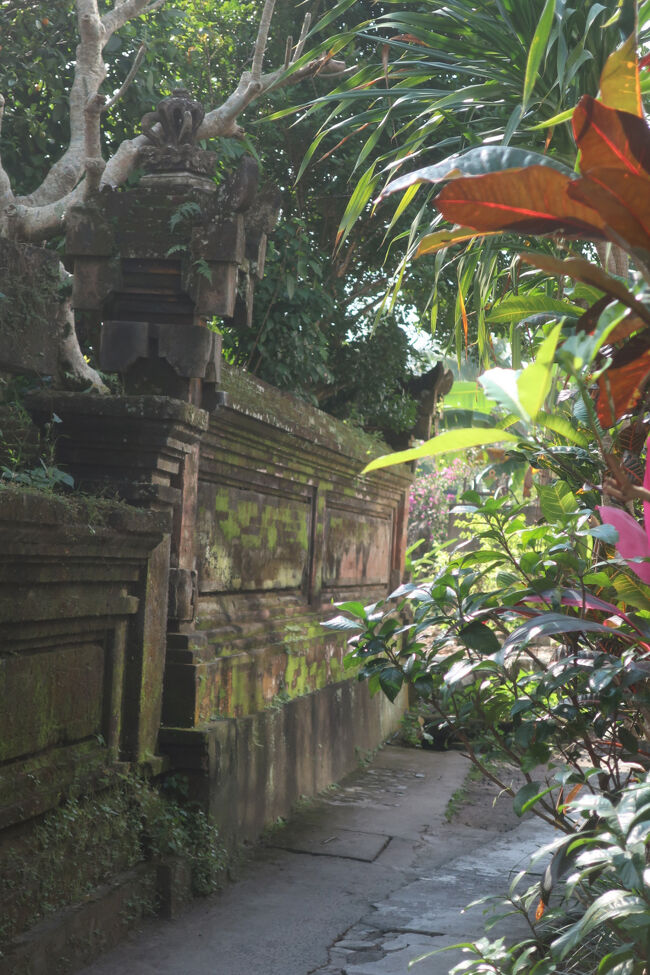 実は最初に6泊予約していたウブドの宿は、旅行の少し前にトコジラミ情報があり、慌てて変更したのです<br />ごめんなさい