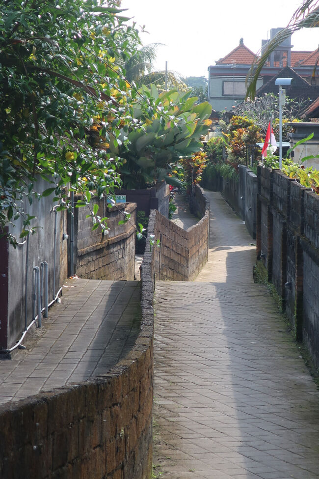 「ホテルの前の細道をいちばん端まで歩いてみよー♪」と行きかけると、隣の番犬にものすごく吠えられ、早々に断念