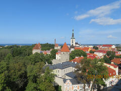 もう一つの展望台へも来てみました。
風が吹いて涼しいですが休憩するスペースは有りません