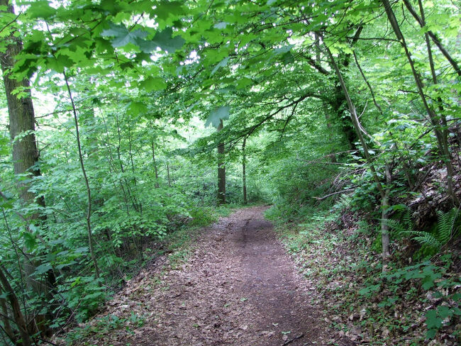 ハイキングコースになっています。