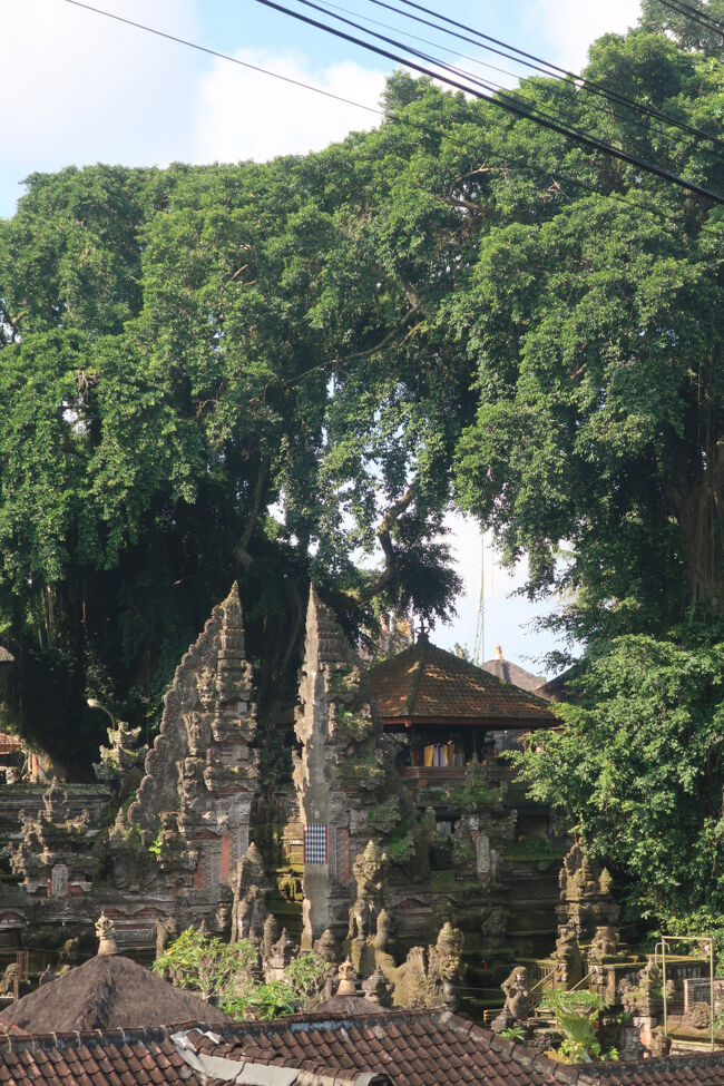 細道が終わると、わっと目の前に現れる<br /><br />ケチャの会場となるダラムウブド寺院です<br />ほんとにやるか確認しに来て、ついでにチケットを買っておきました<br />（ひとり100k ≒910円）<br />https://maps.app.goo.gl/VPLiL7k9ptmMJuVr5<br />