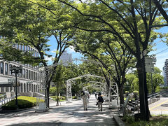 木陰がありがたい、みおつくしプロムナード。