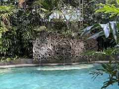 ホテルに戻ってきたら息子らはプール。
元気だ。