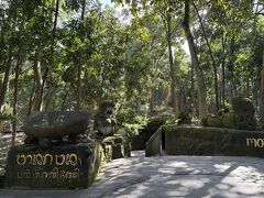 今日はモンキーフォレストへ。
全然歩ける距離だけど、暑い中歩くと機嫌が悪くなって喧嘩しがちなので、Grab利用(57K)。
入場料は大人10K、子供8K。