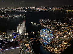 夏休みということでスカイガーデンは混んでいましたが、インターコンチネンタルホテルや観覧車など横浜港の素敵な夜景を見ることが出来ました。