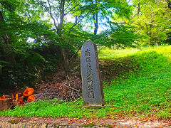 坂を登り、、、曲がるところ間違えたら成田公園に来てしまいました