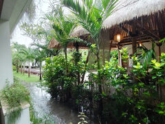 1月27日（月）、旅の7日目です。
明28日はバリ島を発つので、バリ島で終日過ごすことが出来るのは今日だけとなりました。

7：30に起床すると雨が降っていました。