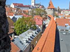 万里の長城くらい長い印象を持ちました。
美しい赤色の屋根です。