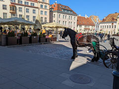お昼を食べた広場へ戻りました。
馬車も所々見かけました。旧市街地の範囲内を馬車で連れていってくれるサービスもあるそうです。
