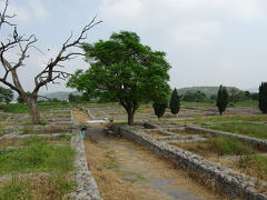 昼食後は同じくタキシラ遺跡のSirkapへ