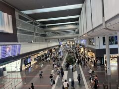 羽田に到着～

初めての場所に興味津々な子。