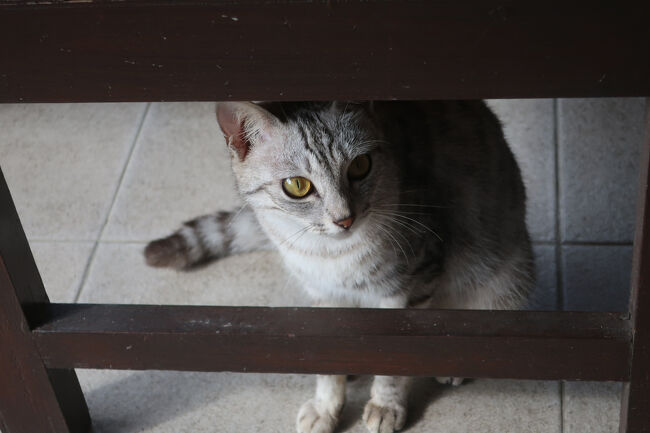 知らなかったものだから、喜びも一入