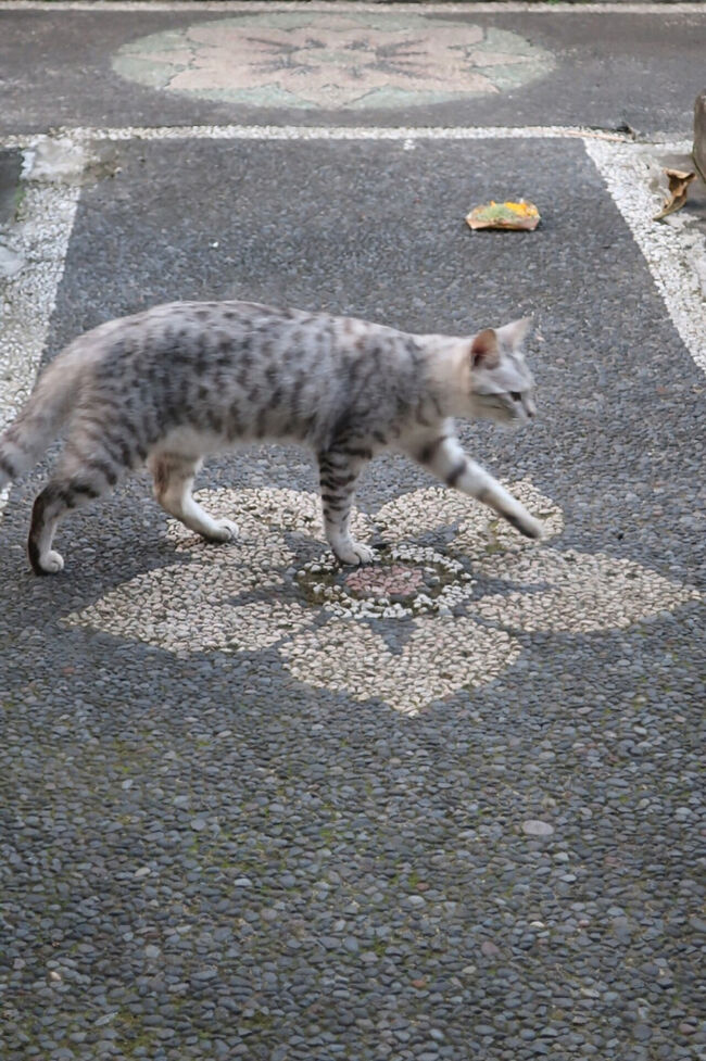 さ、そろそろ活動しようかな