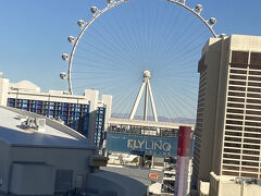 東側には比較的新しい建造物である観覧車が正面に見えます。

