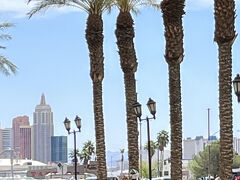 ニューヨークニューヨークが見えます。みぎにはエクスカリバーも垣間見れます。

