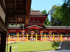 本殿にやって来ました。