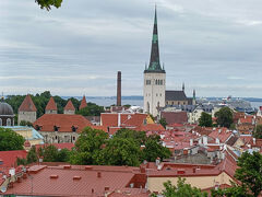 坂道を歩いて「トームペアの丘」に来ました。
赤い屋根、聖オーラフ教会の尖塔も見えて綺麗です。

エストニア　タリン旧市街の動画
https://youtube.com/shorts/n5chQ92GEcc