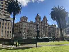 芝生が広がっている
ここでピクニックしてもよさそう