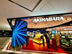 そして秋葉原の前を通る。
ここだけは昔と全然変わらないなー。派手だわ。変わらず（笑）
と、ここまでは働きマン一家的に日常と一緒。
なんか海外行くって感じしないな。。（笑）