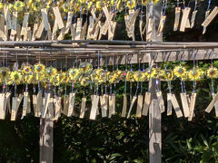 正寿院入山口から眺めたひまわりの風鈴棚。