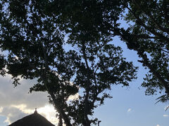 おはようございます
バリ5日目の朝を迎えました