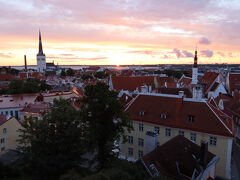 コフトウッツァ展望台に到着。目的は人懐っこいカモメ「スティーヴン君」ではなく、タリンの日の出を見るため。