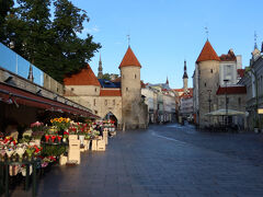 ヴィル門。二つの塔が並ぶ風景はタリン旧市街のアイコン的なイメージとして有名です。花のマーケットは早朝から開いています。
