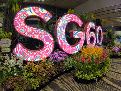 シンガポール空港到着。
建国60周年なんですね、空港も綺麗だし随分と発展した国に思えるこの頃ですが、民度の文化にはまだまだ残念と思える事が帰路ではあった。