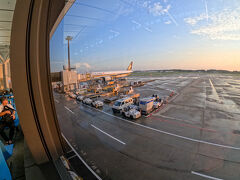 夕方の成田空港。