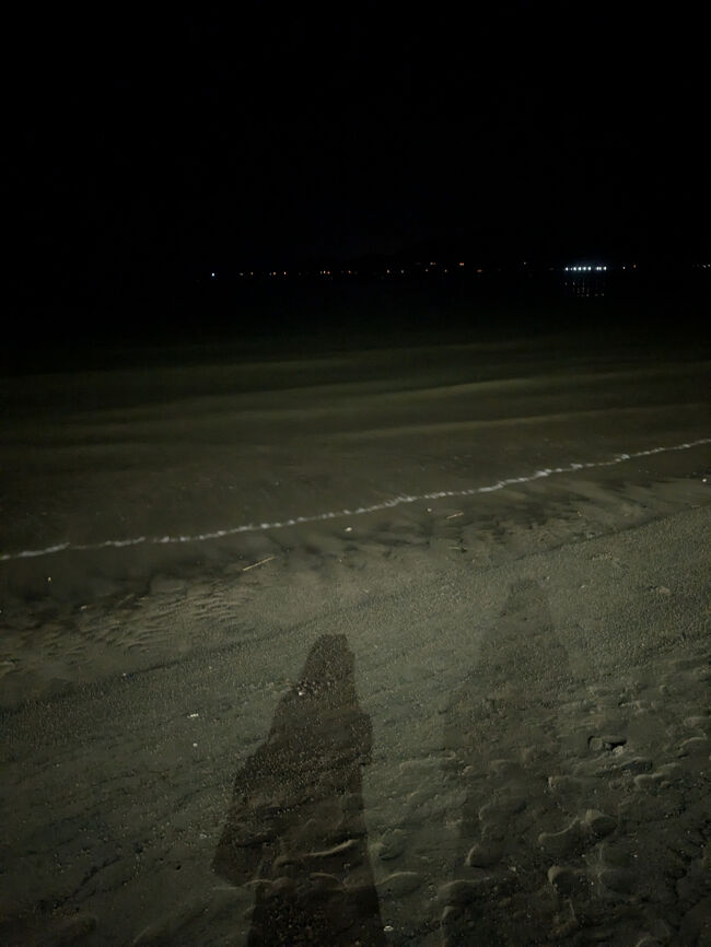 夜の海。真っ暗で、水の透明度や砂の形状はよくわからない。<br />明朝、出直すことにしました。<br /><br />（花火を楽しむファミリーや、私のようにメルキュールから散歩に来ている人もいた）
