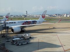 前日の職場。今の上司に明日から福岡に行くけど、どこ行くのと聞かれる。私もだけど？便も同じと判明し、また明日～。20分前にもう搭乗が始まっていた。兄の全国大会に中学生の弟が飛行機初めてで一緒に連れて行くって。
我が家は海外、ダイビング三昧してたしな。お金の使い道は人それぞれと自分に言い聞かせる。
福岡空港で見かけたオオタニサン。どうしたらあんな子に育つのやらと親目線。