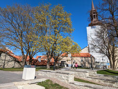 聖母マリア大聖堂も隣にあります。
