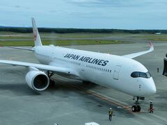 窓の外にはＪＡＬ機