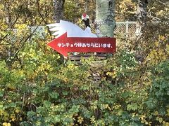タンチョウに会いたくて、釧路市丹頂鶴自然公園にきました。