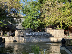 【バリコレクション】到着
