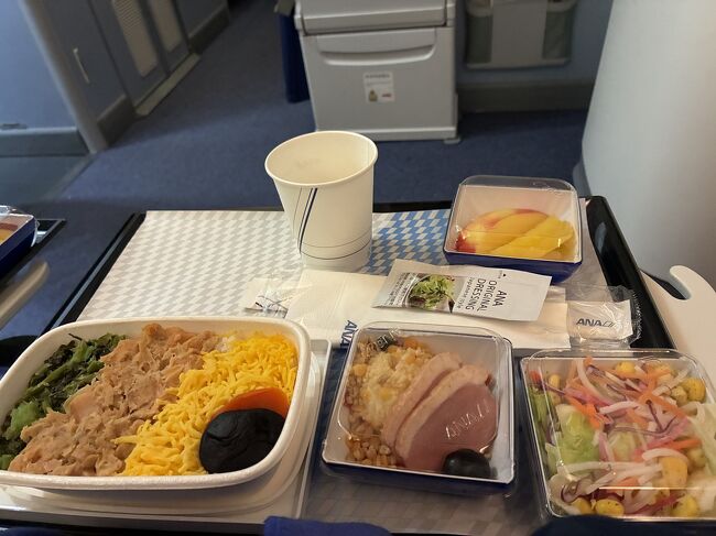 今回、寝られるように、酔い止めを飲んだところ、熟睡できました。途中一度目が覚めましたが、9時間くらいは寝られたので、とても楽でした。<br />起きてしばらくすると朝食です。<br />日本時間の朝11時頃。現地時間朝4時。<br /><br />今回、ネットでフルーツミールに変更したのですが、2回の食事ともフルーツミールになってしまうそうで、CAさんが心配して、2回目は余ったら普通のお食事をお持ちしましょうかとお声がけしてくださり、無事に余ってシャケご飯をいただけました。<br /><br />やはり日本の航空会社は安心です。